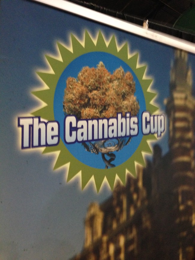high times cannabis cup