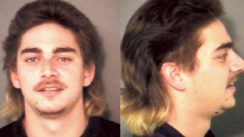 Drunk Charlotte Bro Who Stole Minor League Baseball Team’s Mascot Costume To Party Now Facing Two Felony Charges