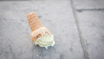 Science Says The Five-Second Rule Is A Load Of Crap So Go And Lick Your Poop Soup Off The Floor, You Dirty Heathen