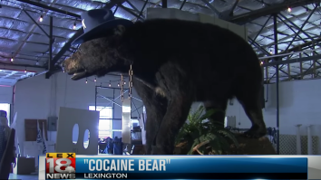 ‘Pablo EskoBear’ AKA The Lexington Cocaine Bear Makes All Other Bears Look Like Wimps