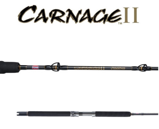 Best Saltwater Fishing Rods