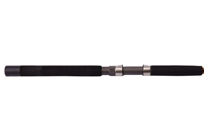 Best Saltwater Fishing Rods