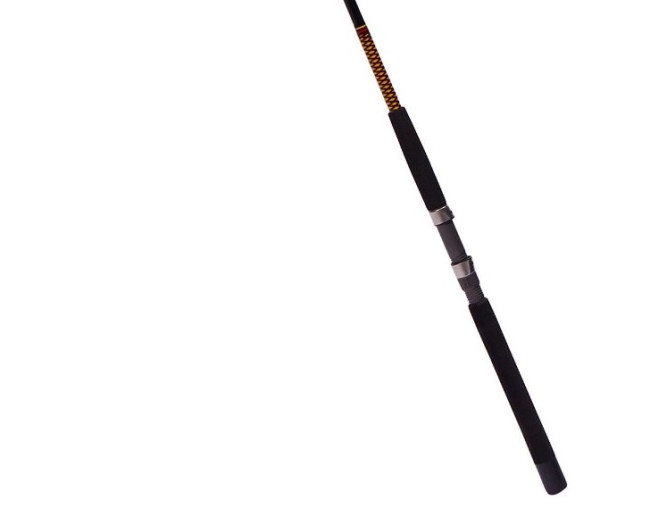 Best Saltwater Fishing Rods