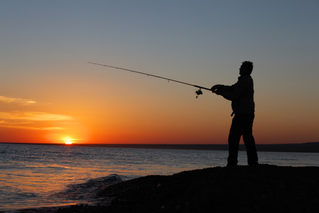 The 10 Best Saltwater Fishing Rods For Every Occasion, The Rods That Make  Fishing Easier - BroBible