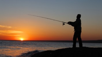 The 10 Best Saltwater Fishing Rods For Every Occasion, The Rods That Make Fishing Easier