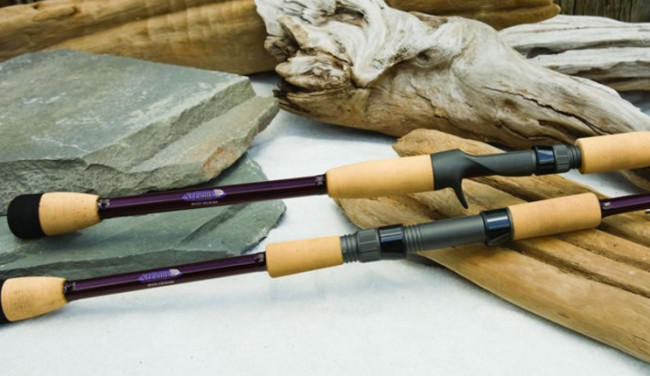 Best Saltwater Fishing Rods