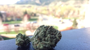 The State Of Marijuana — A 4/20 Experience In Colorado