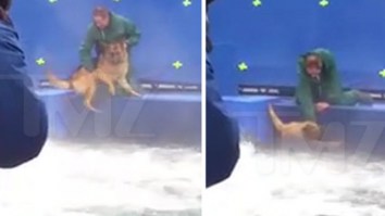Leaked Video Shows German Shepherd Being Forced Into Raging Waters During Filming Of ‘A Dog’s Purpose’