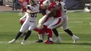Cardinals RB David Johnson Suffers Gruesome Leg Injury In Final Game Of The Season