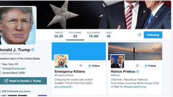 President-Elect Trump Follows ‘Emergency Kittens,’ A Twitter Account Featuring The Most ADORBZ Kitty Cats