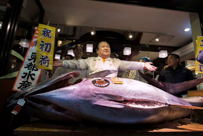 First Bluefin Tuna Tsukiji Fish Market Japan