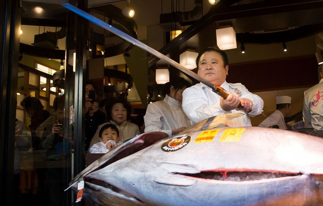 First Bluefin Tuna Tsukiji Fish Market Japan