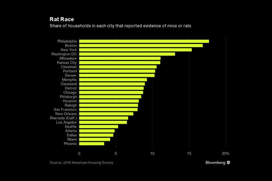 These Are Most Cockroach And RatInfested Cities In America, Ranked By