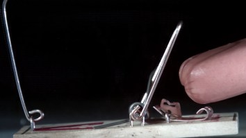 Mouse Trap Slicing Through Hot Dog Like Butter, Filmed At 147,000 Frames-Per-Second, Is Pure Bliss