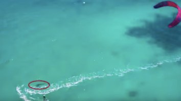 Chick Kitesurfing In Australia Blissfully Unaware That She’s Being Circled By A Great White Shark
