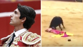 Cocky Bullfighter Who Said ‘Animals Do Not Have Rights’ Gets Gored To Bloody Hell By Angry Bull Just Weeks Later (VIDEO)