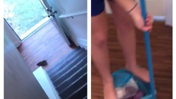 Squad Of Girls Has A RIDICULOUS Way Of Getting A Rat Out Of Their House