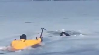 Hero Firefighter Rescues Dog Stuck In Icy Pond