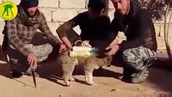 Videos Show Cold-Blooded ISIS Using Drones And PUPPIES With Bombs Attached To Them To Attack Their Enemies