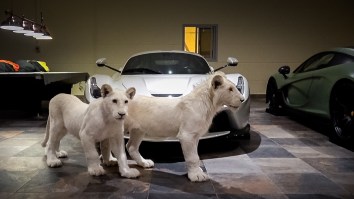 Check Out This Baller AF Garage Featuring Supercars And White Lions