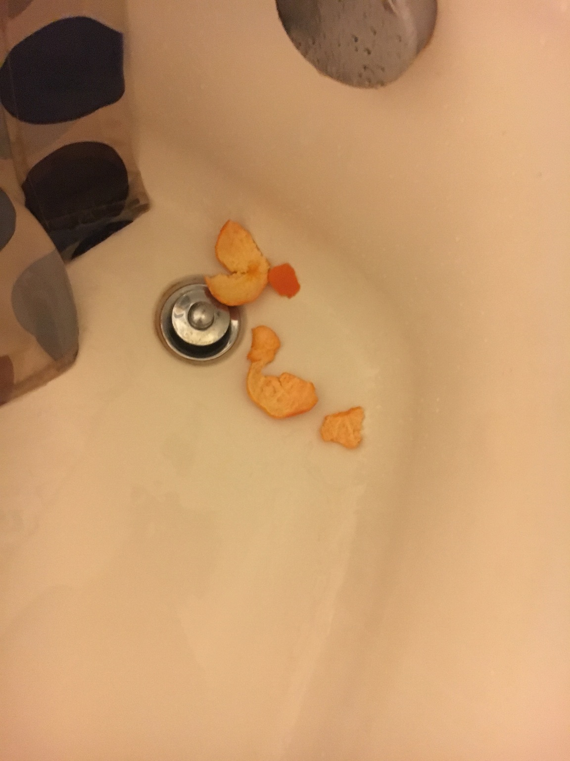Latest Craze Has People Eating Oranges In The Shower And The