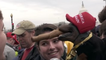 Triumph The Insult Comic Dog’s Outtakes From Donald Trump’s Inauguration Are Offensively Hilarious