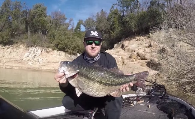 fishing world record spotted bass