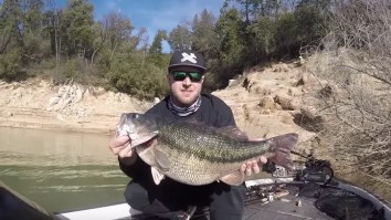 Pending World Record Spotted Bass Caught In California And Weighed On Video Is A TOTAL HOG Of A Fish