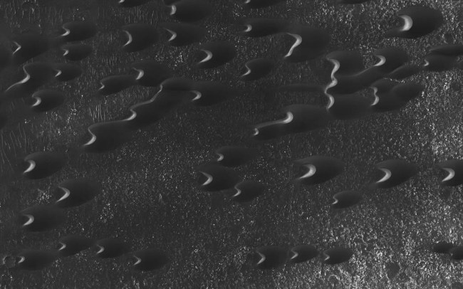 Worm Dunes On Mars