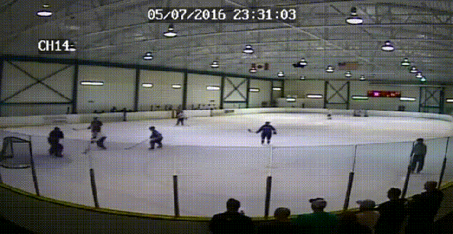 Hockey Goalie Slashing Assault
