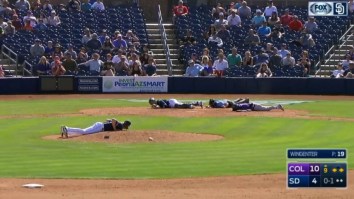 MLB Players Hit The Deck When A Swarm Of Bees Attacked The Field In The Middle Of The Game
