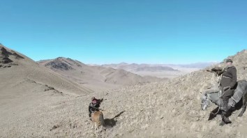 Watch A Badass Mongolian Eagle Hunt And Take Down A Fox While Wearing A GoPro Strapped To Its Wings