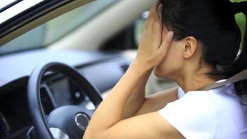 Woman Afraid To Drive Again After Her Encounter With A Snake Goes Viral, Twitter Reacts