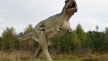 Tyrannosaurus Rex Were Sensitive Lovers That Used Their Noses For Foreplay