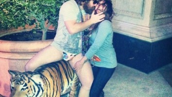 The Zach Galifianakis Doppelganger Who Made $240K A Year On The Vegas Strip Says Women FLOCKED