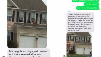 This Text About Dogs Having A Party On A Roof Is The Best Text-From-Mom You’ll Ever Read