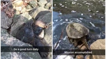 Bro Saves A Stranded Turtle’s Life, Documents It On Snapchat Like A Young Johnny Utah