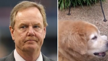 NFL Reporter Ed Werder Was Laid Off By ESPN Just Minutes After He Announced His Dog Was Dying