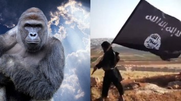 Isis Harambe Is This Chick’s Real Name, But It Wasn’t Weird For Her Until 2014