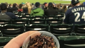 Seattle Mariners Fans Are Eating An Alarming Amount Of Insects This Season