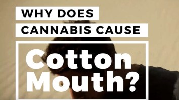 Here’s Why Smoking Weed Causes Cotton Mouth And What That Means For Your Body