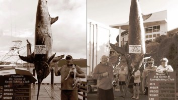 Man Catches TWO World Record Swordfish In Just TWO Days, Is An Official Badass