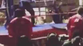 Blink And You’ll Miss This Boxer Knocking His Opponent OUT COLD And Right Through The Ropes
