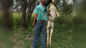This Gargantuan Bullfrog Caught In Texas Is So Enormous That People Think It Is Fake