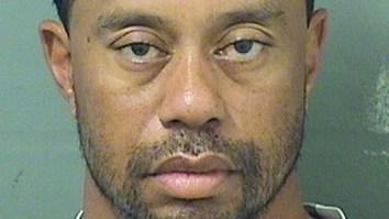 This GIANT Tiger Woods Mugshot Mural Is A Masterpiece That Belongs In A Museum Somewhere