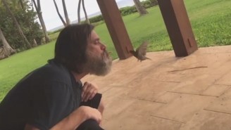 Jim Carrey Got Bugs In His Beard While Feeding Birds From His Mouth