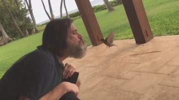 Jim Carrey Got Bugs In His Beard While Feeding Birds From His Mouth