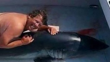 Naked Man Photographed Hugging A Shark Is Apparently A Former NYC Police Officer And Not Jim McElwain