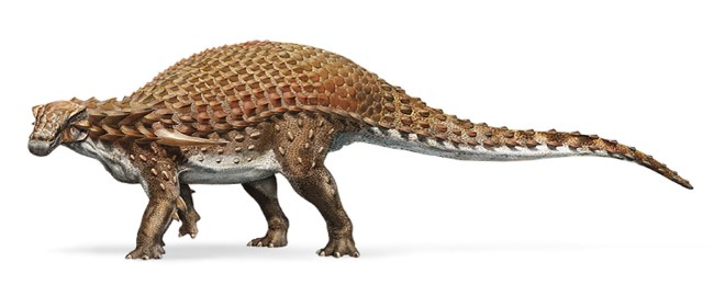 nodosaur pic