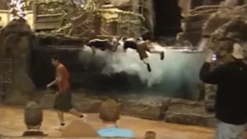 Charges Coming For Teen Filmed Swimming In A Bass Pro Shops Fish Tank As Part Of Prank